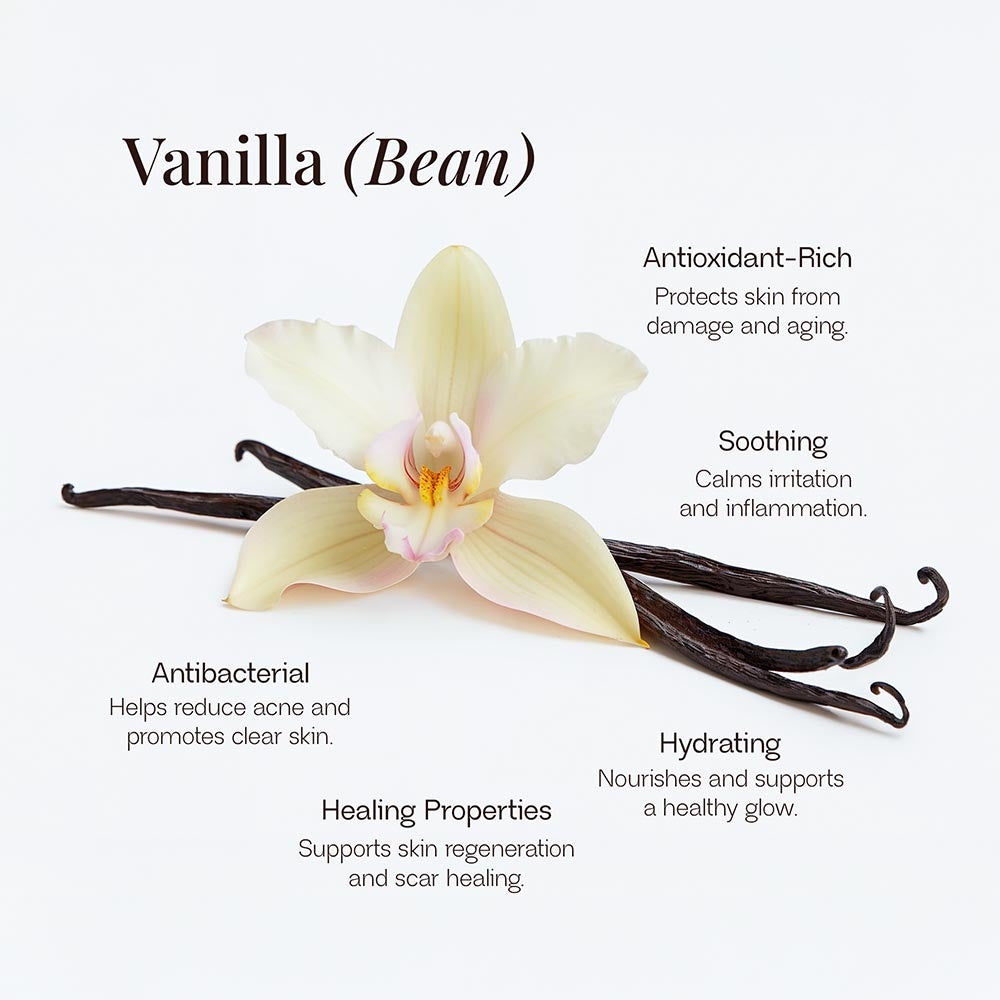 Whipped Tallow-Skin Recovery + Barrier Repair Balm